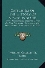 Catechism Of The History Of Newfoundland: With An Introductory Chapter On The Discovery Of America By The Ancient Scandinavians (1855)