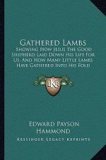 Gathered Lambs: Showing How Jesus The Good Shepherd Laid Down His Life For Us, And How Many Little Lambs Have Gathered Into His Fold (