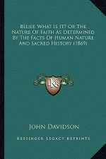 Belief, What Is It? Or The Nature Of Faith As Determined By The Facts Of Human Nature And Sacred History (1869)