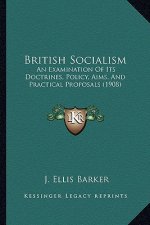 British Socialism: An Examination Of Its Doctrines, Policy, Aims, And Practical Proposals (1908)