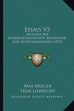 Essays V3: Beitrage Zur Literaturgeschichte, Biographik Und Alterthumskunde (1872)