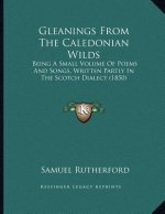 Gleanings From The Caledonian Wilds: Being A Small Volume Of Poems And Songs, Written Partly In The Scotch Dialect (1850)