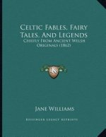 Celtic Fables, Fairy Tales, And Legends: Chiefly From Ancient Welsh Originals (1862)