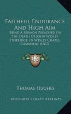 Faithful Endurance And High Aim: Being A Sermon Preached On The Death Of John Wesley Etheridge, In Wesley Chapel, Camborne (1867)