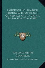 Exhibition Of Enlarged Photographs Of French Cathedrals And Churches In The War Zone (1918)