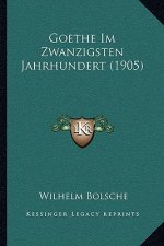 Goethe Im Zwanzigsten Jahrhundert (1905)