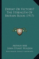 Defeat Or Victory? The Strength Of Britain Book (1917)