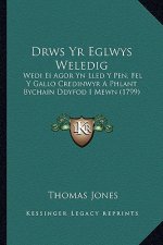 Drws Yr Eglwys Weledig: Wedi Ei Agor Yn Lled Y Pen, Fel Y Gallo Credinwyr A Phlant Bychain Ddyfod I Mewn (1799)