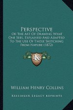 Perspective: Or The Art Of Drawing What One Sees, Explained And Adapted To The Use Of Those Sketching From Nature (1872)