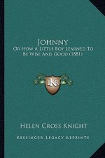 Johnny: Or How A Little Boy Learned To Be Wise And Good (1881)