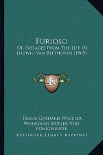 Furioso: Or Passages From The Life Of Ludwig Van Beethoven (1865)