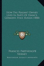 How The Peasant Owner Lives In Parts Of France, Germany, Italy, Russia (1888)