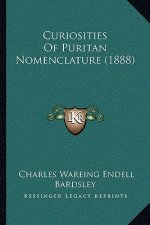 Curiosities Of Puritan Nomenclature (1888)