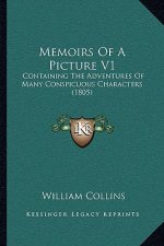 Memoirs Of A Picture V1: Containing The Adventures Of Many Conspicuous Characters (1805)