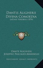 Dantis Aligherii Divina Comoedia: Latinis Versibus (1874)