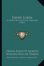 David Lubin: A Study In Practical Idealism (1922)
