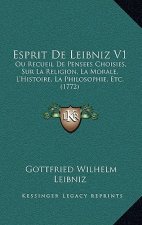 Esprit De Leibniz V1: Ou Recueil De Pensees Choisies, Sur La Religion, La Morale, L'Histoire, La Philosophie, Etc. (1772)