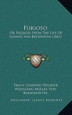 Furioso: Or Passages From The Life Of Ludwig Van Beethoven (1865)