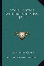 Social Justice Without Socialism (1914)