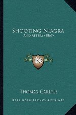 Shooting Niagra: And After? (1867)