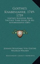 Goethe's Knabenjahre, 1749-1759: Goethe's Boyhood, Being The First Three Books Of His Autobiography (1881)