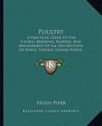 Poultry: A Practical Guide To The Choice, Breeding, Rearing, And Management Of All Descriptions Of Fowls, Turkeys, Guinea-Fowls