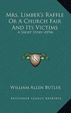 Mrs. Limber's Raffle Or A Church Fair And Its Victims: A Short Story (1894)
