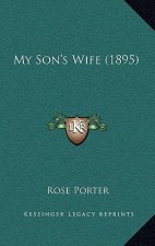My Son's Wife (1895)