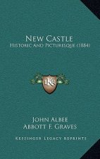 New Castle: Historic And Picturesque (1884)
