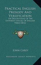 Practical English Prosody And Versification: Or Descriptions Of The Different Species Of English Verse (1816)