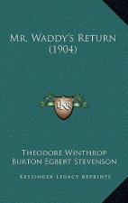 Mr. Waddy's Return (1904)