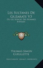 Les Sultanes De Guzarate V3: Ou Les Songes Des Hommes Eveilles: Contes Mongol (1733)