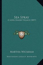 Sea Spray: A Long Island Village (1857)