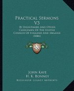 Practical Sermons V3: By Dignitaries And Other Clergymen Of The United Church Of England And Ireland (1846)
