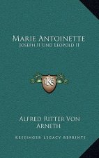 Marie Antoinette: Joseph II Und Leopold II: Ihr Briefwechsel (1866)