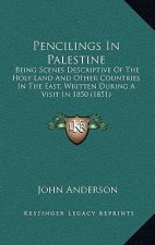 Pencilings In Palestine: Being Scenes Descriptive Of The Holy Land And Other Countries In The East, Written During A Visit In 1850 (1851)