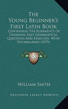 The Young Beginner's First Latin Book: Containing The Rudiments Of Grammar, Easy Grammatical Questions And Exercises, With Vocabularies (1879)