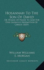 Hosannah To The Son Of David: Or Hymns Of Praise To God For Our Glorious Redemption By Christ (1859)