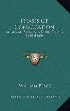Phases Of Convocation: Anglican Synods, A.D. 601 To A.D. 1860 (1860)