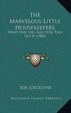 The Marvelous Little Housekeepers: What They Did, And How They Did It (1880)
