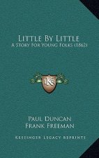 Little By Little: A Story For Young Folks (1862)