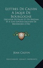 Lettres De Calvin A Jaque De Bourgogne: Seigneur De Falais Et De Bredam, Et A Son Espouse Jolande De Brederode (1744)