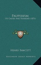 Pauperism: Its Causes And Remedies (1871)