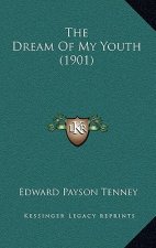 The Dream Of My Youth (1901)