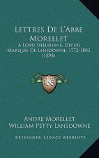 Lettres De L'Abbe Morellet: A Lord Shelburne, Depuis Marquis De Lansdowne, 1772-1803 (1898)
