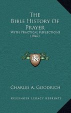 The Bible History Of Prayer: With Practical Reflections (1847)