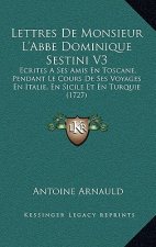 Lettres De Monsieur L'Abbe Dominique Sestini V3: Ecrites A Ses Amis En Toscane, Pendant Le Cours De Ses Voyages En Italie, En Sicile Et En Turquie (17