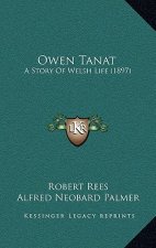 Owen Tanat: A Story Of Welsh Life (1897)