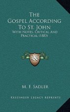 The Gospel According To St. John: With Notes, Critical And Practical (1883)