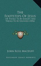 The Footsteps Of Jesus: Or Things To Be Sought, And Things To Be Shunned (1856)